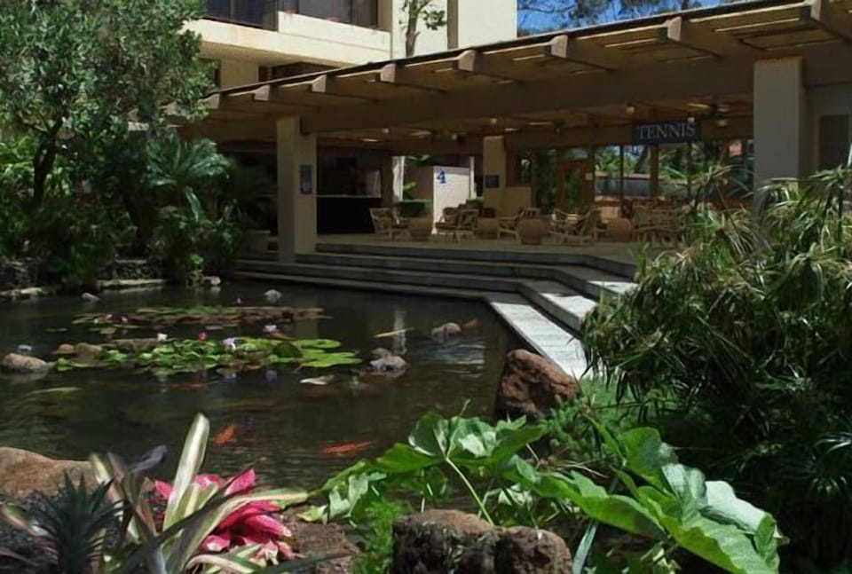 Welcoming Koi Pond