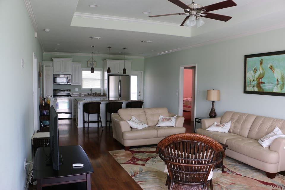 Living room and kitchen