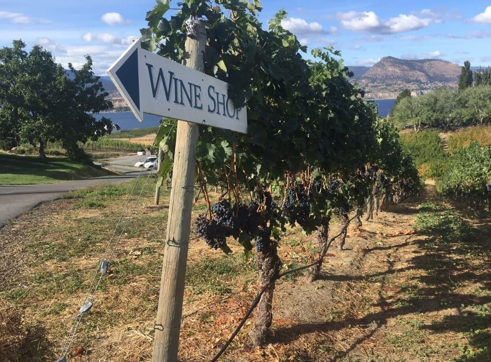Enjoy numerous wineries within close proximity