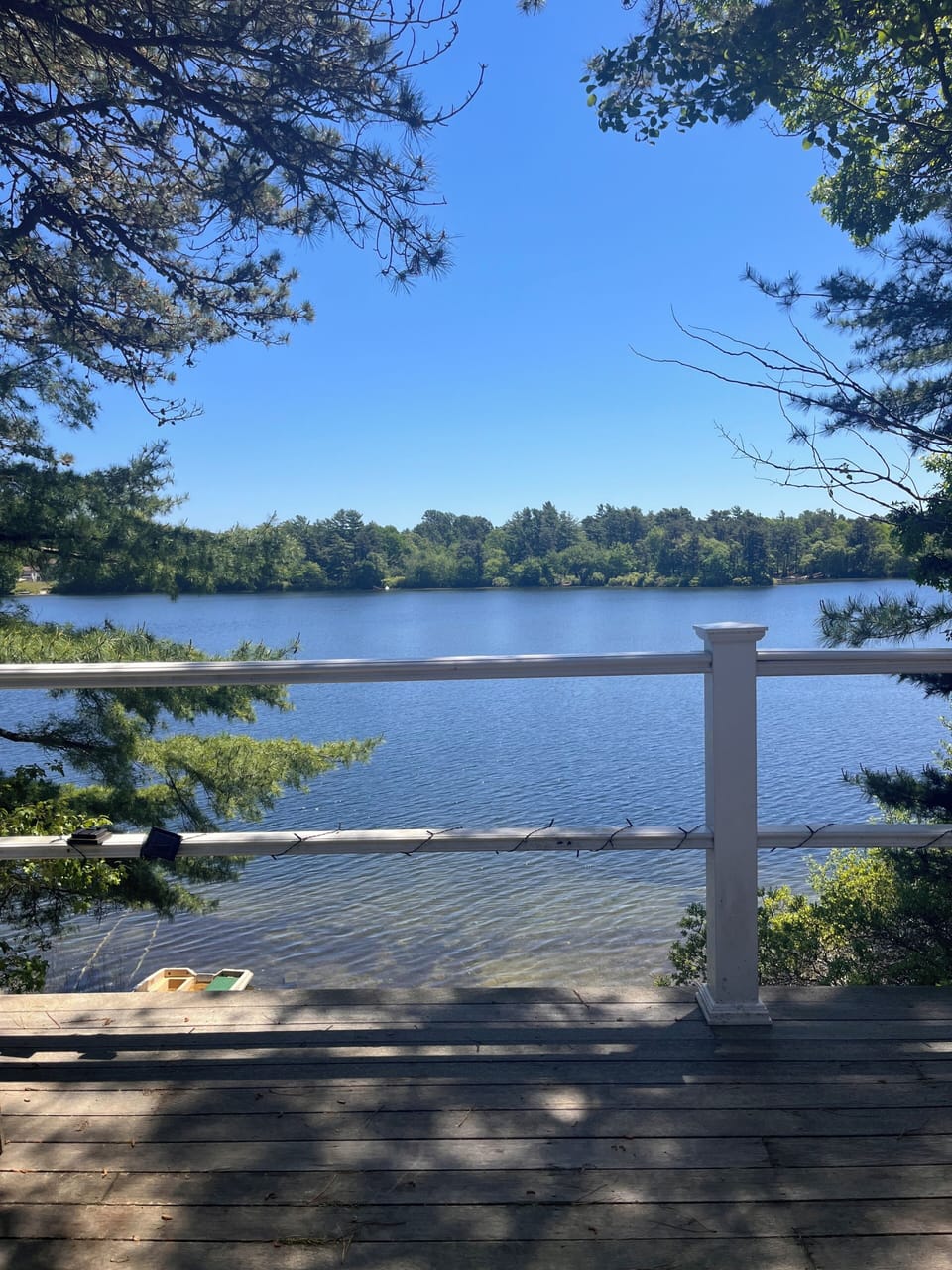 View from property