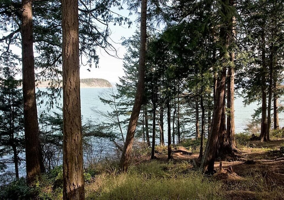 View of Hales Passage from deck