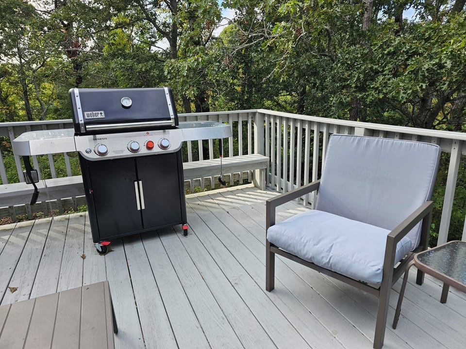 Weber Genesis Grill