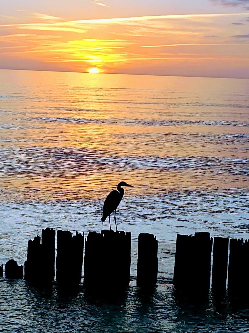 Sunsets on the beach