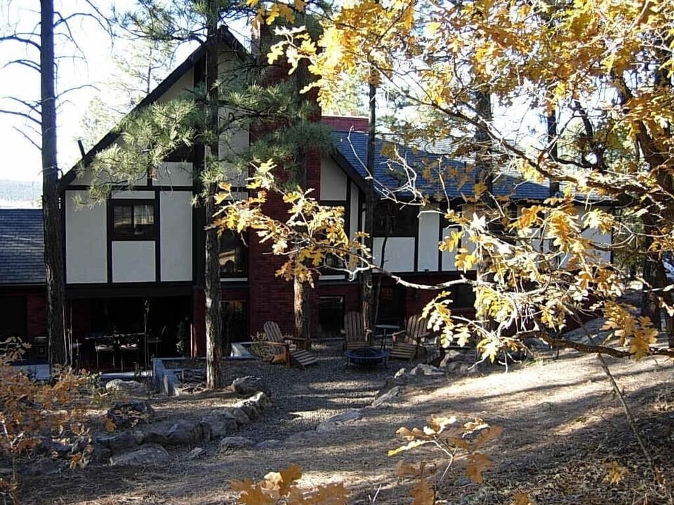 Backyard w/Firepit & Adirondack chairs Nothing but trees for miles behind house