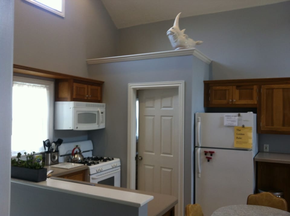 Gas stove, garbage disposal, dishwasher. 