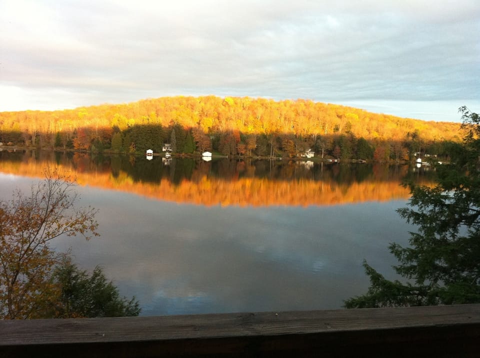 Late day light makes hillside glow