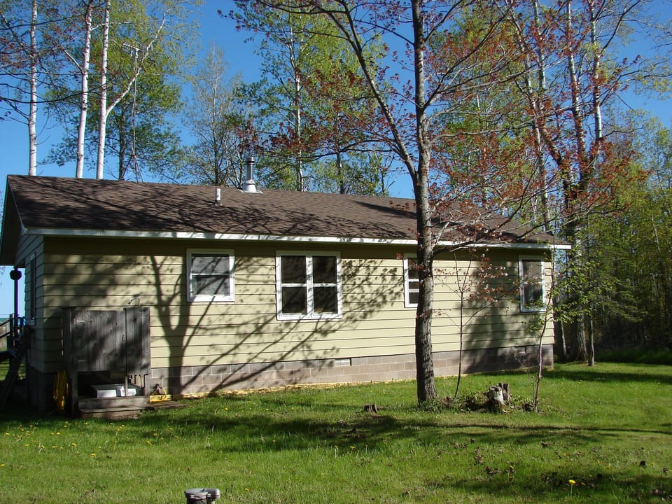The back yard and outdoor shower
