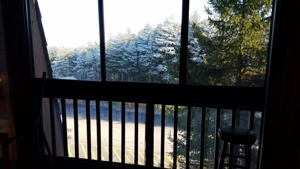 Screened in balcony off of living room