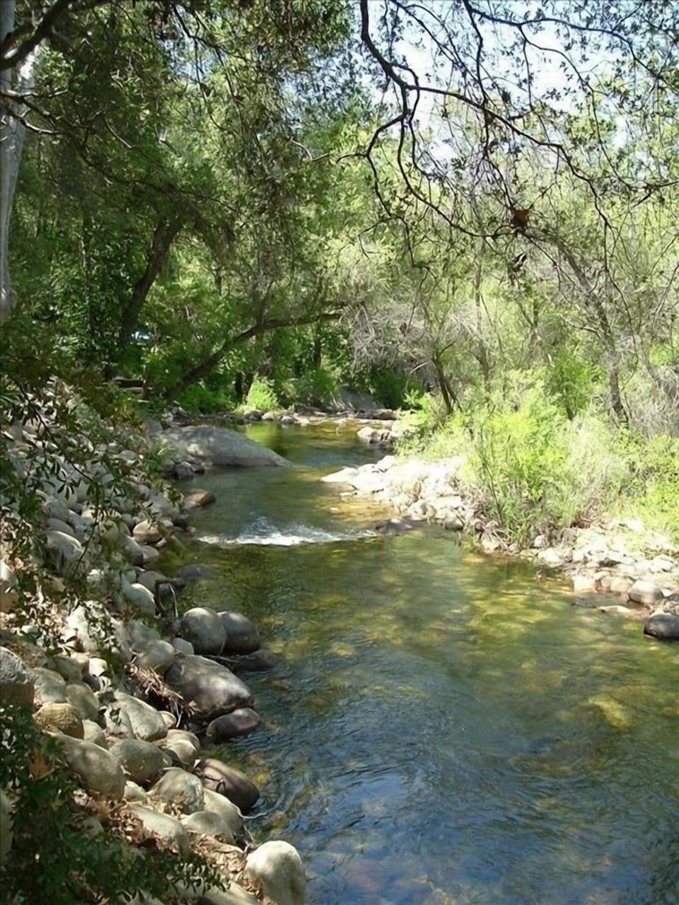 The South Fork of the Kaweah River runs behind the house