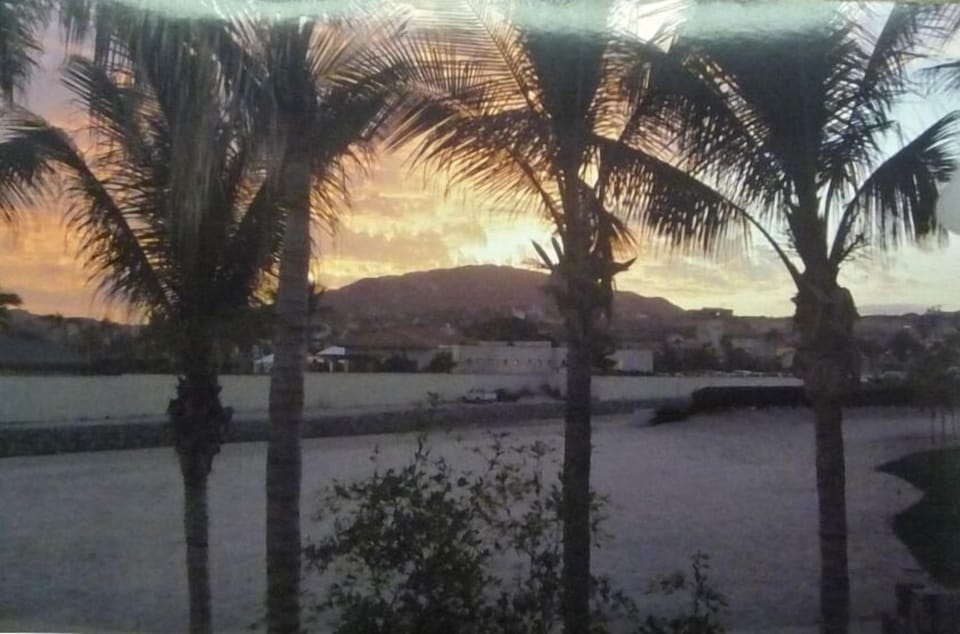 View from Kitchen