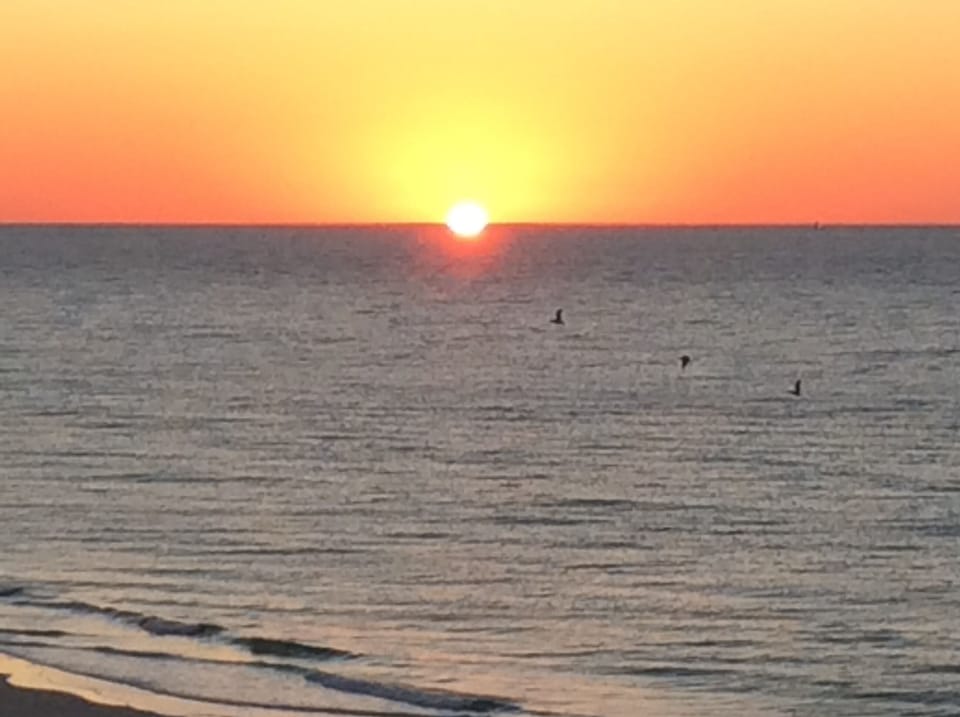 Beautiful sunset!