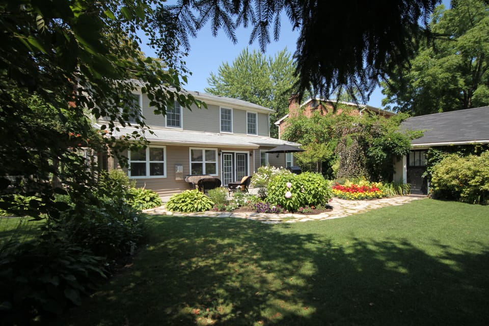 View of backyard