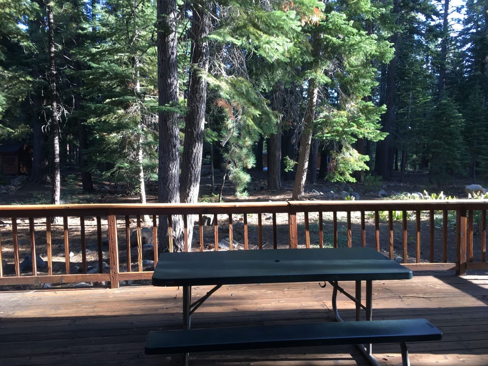 Back deck and yard.