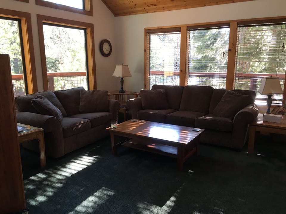 Living room looking out among the pine trees