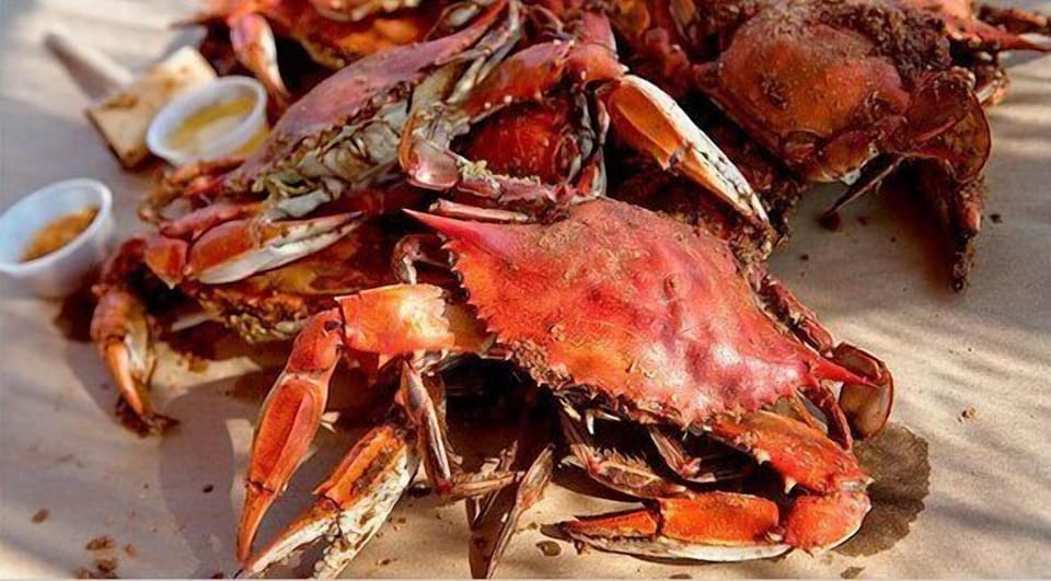make sure to get crabs and enjoy on the wonderful screened in porch!