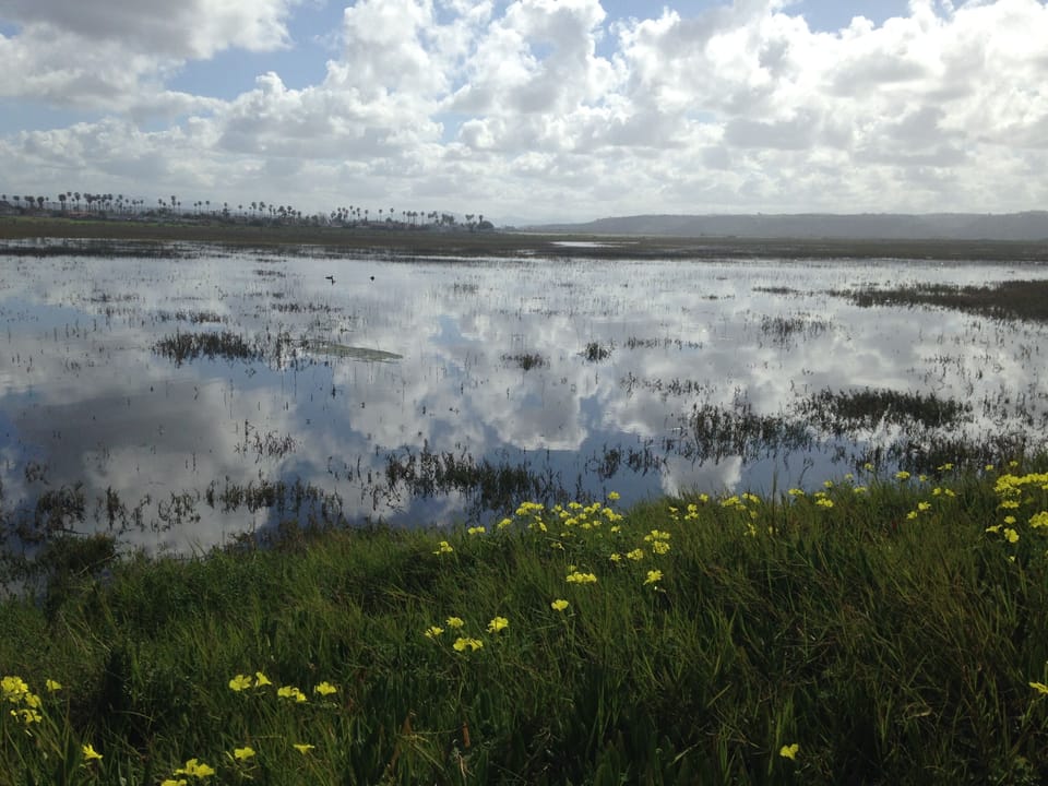Estuary view from the condo deck when the tide is high.