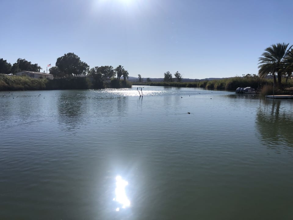 Our cove