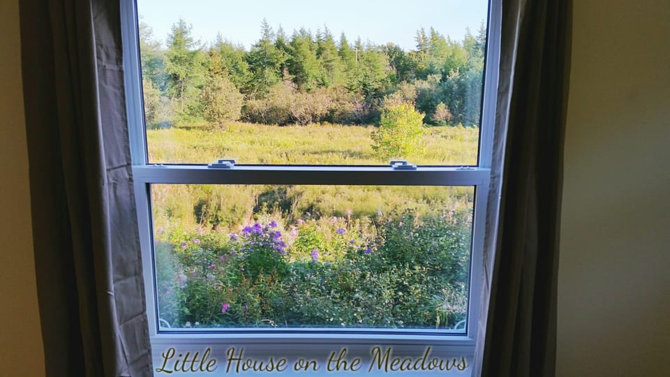 View from bedroom