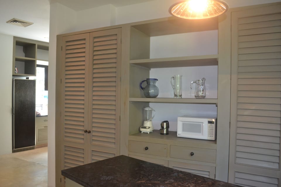 Huge Pantry with microwave, wine cooler, and lots of cabinets 