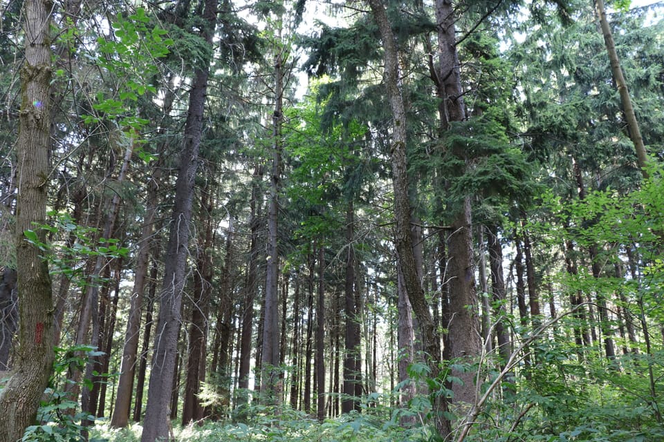 Nearby hiking trails to satisfy all levels