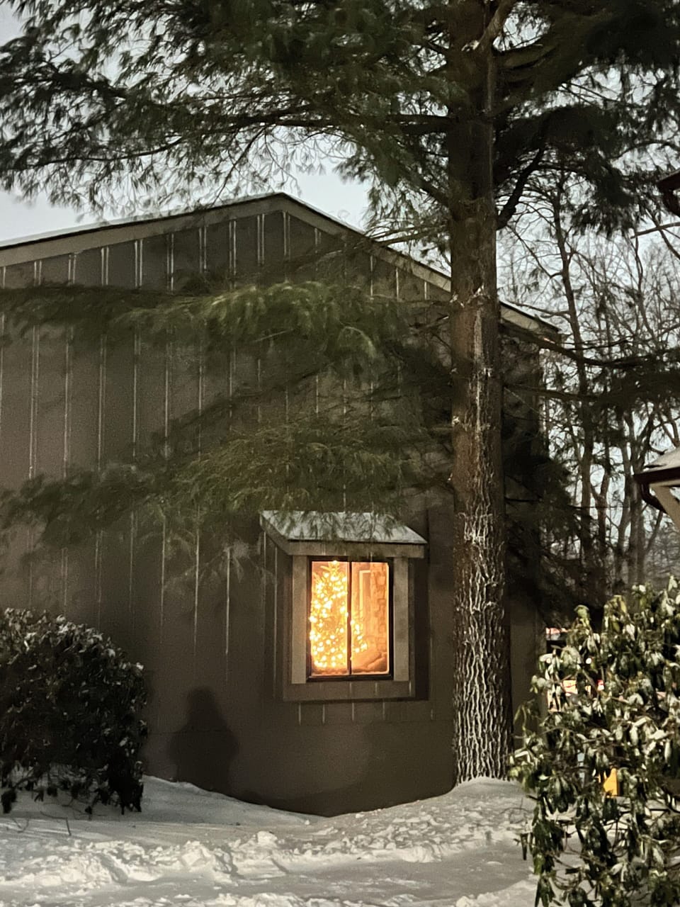 Looking into the home on a snowy winter night