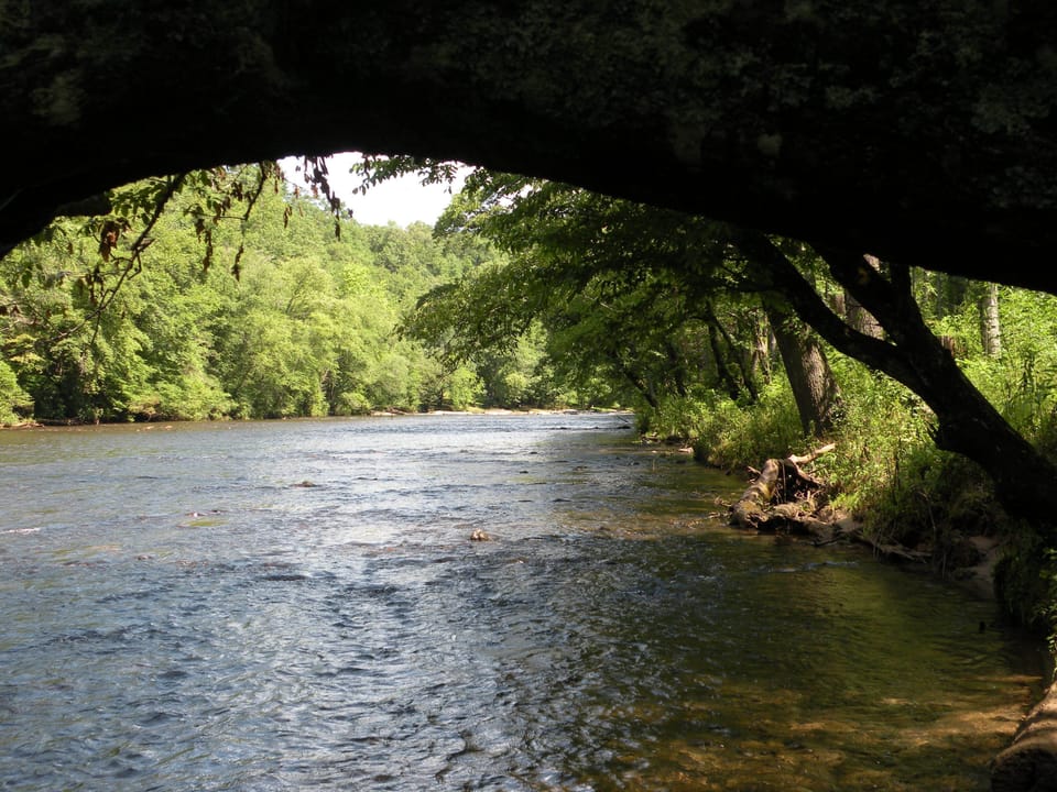 Tie to this tree and your tube is located in perfect spot.  See next pic.