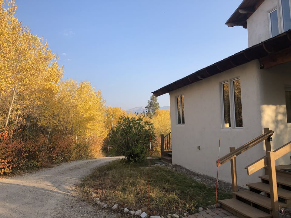 Aspens changing in autumn