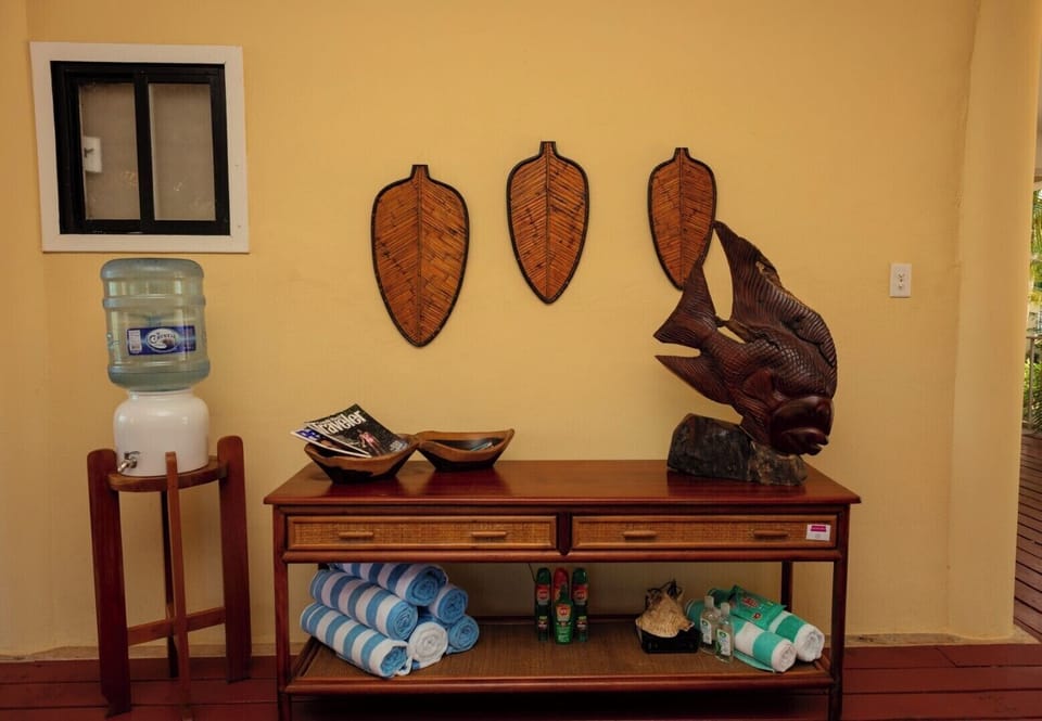 Pool towels, sun/bug spray, and water cooler.