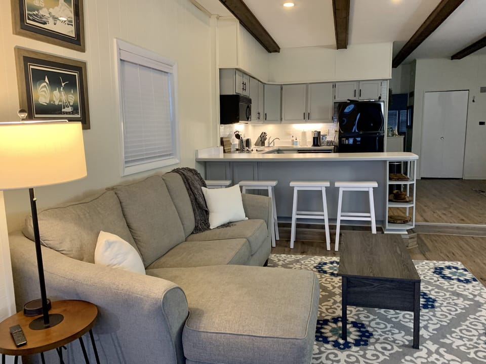 Living Room with Pull Out Couch