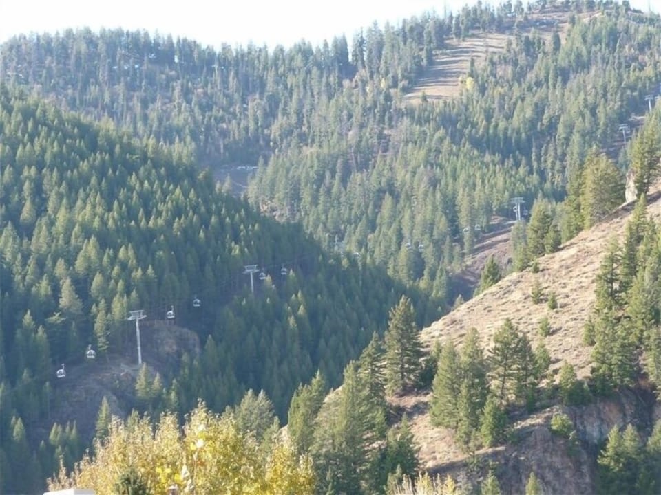 View from deck - Ski Runs and New Gondola at River Run