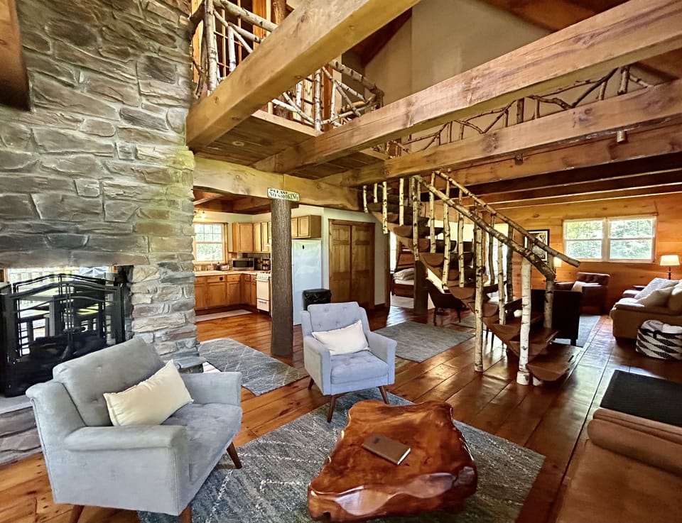 Fireplace area reflects the natural world, with space to read and enjoy games.