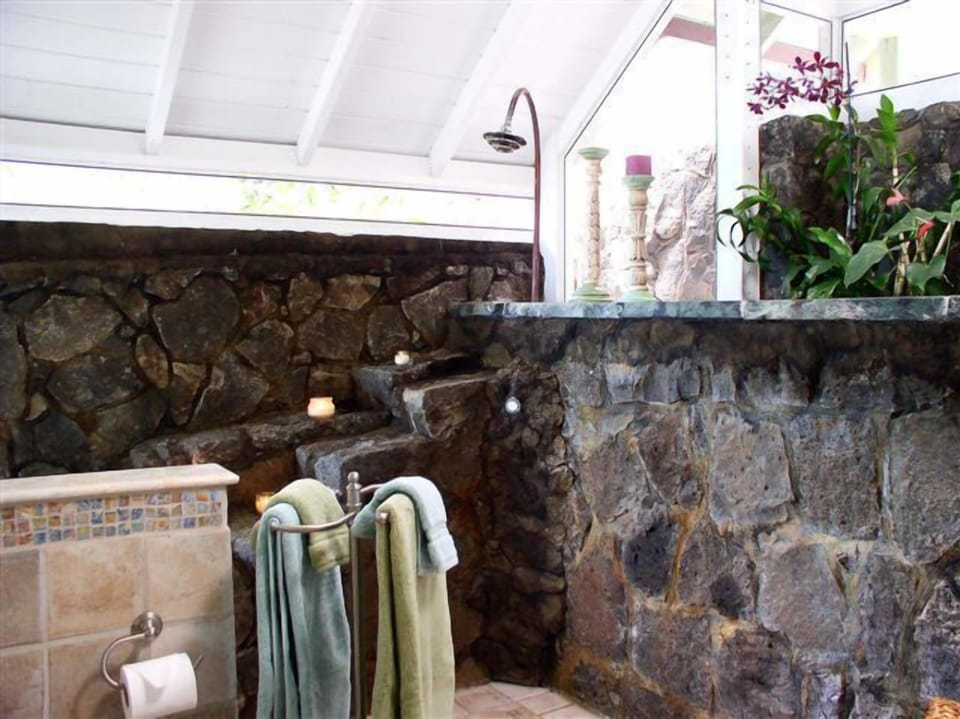 Upstairs open shower is built into the mountainside