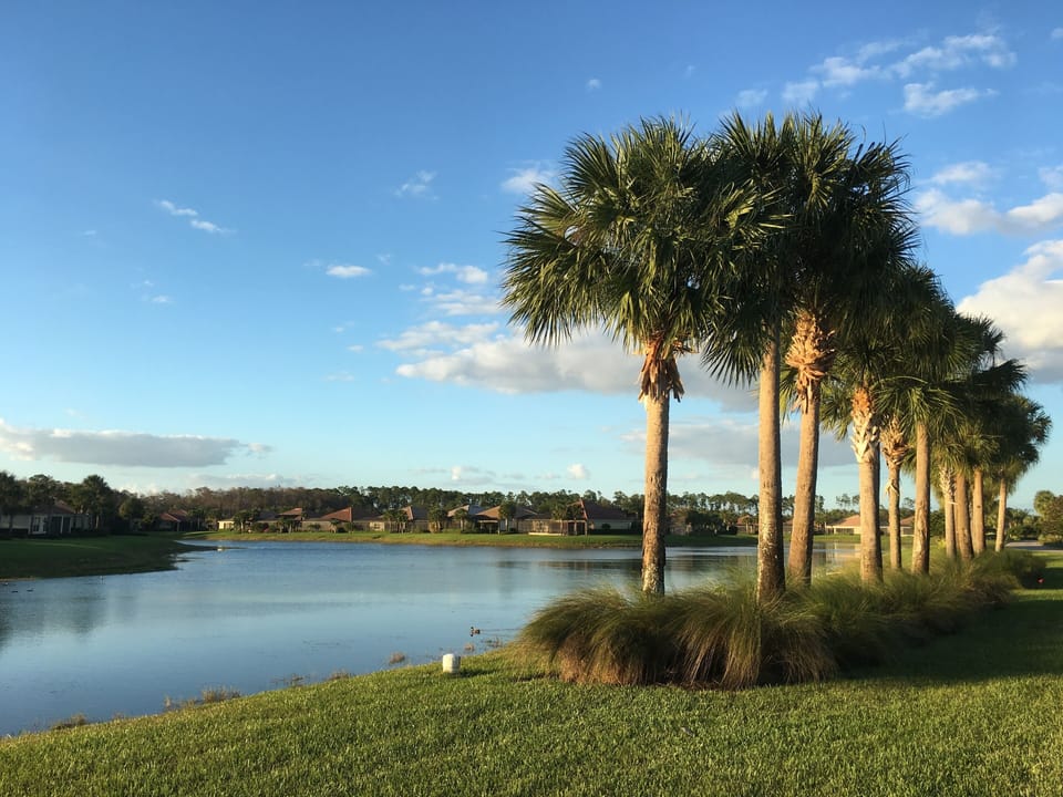 community view