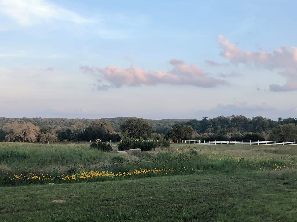 Property views