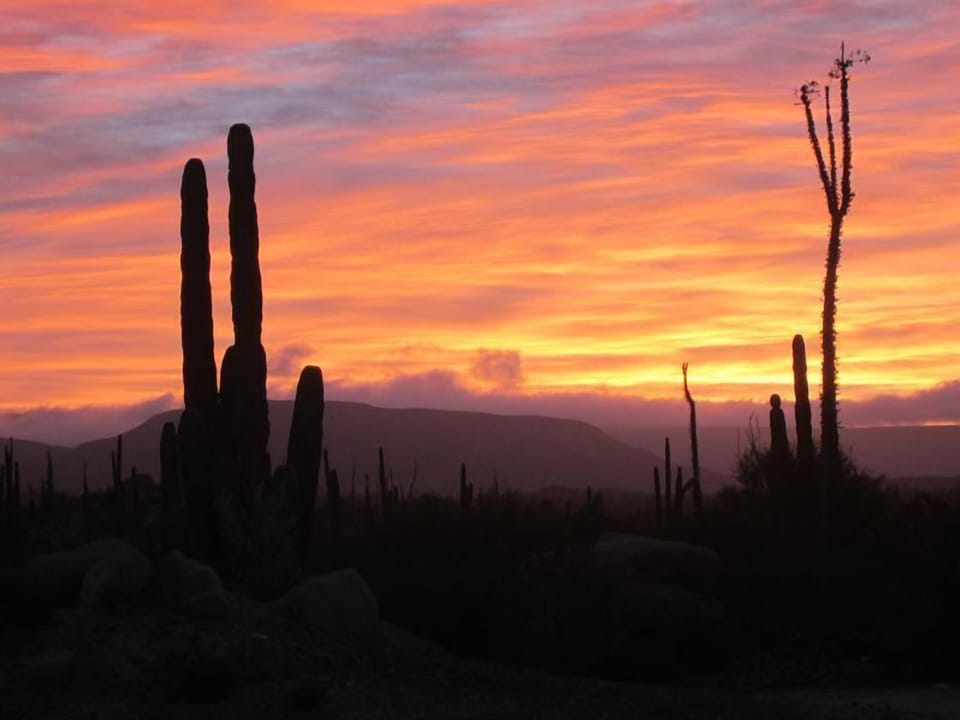 Baja Sunset