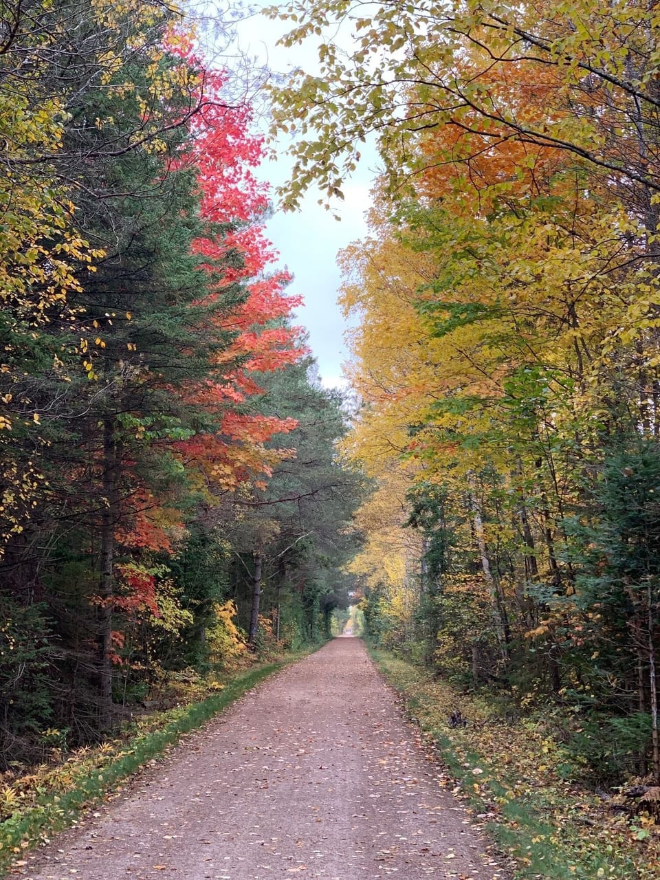 North Central State Walking Trail just across US-23