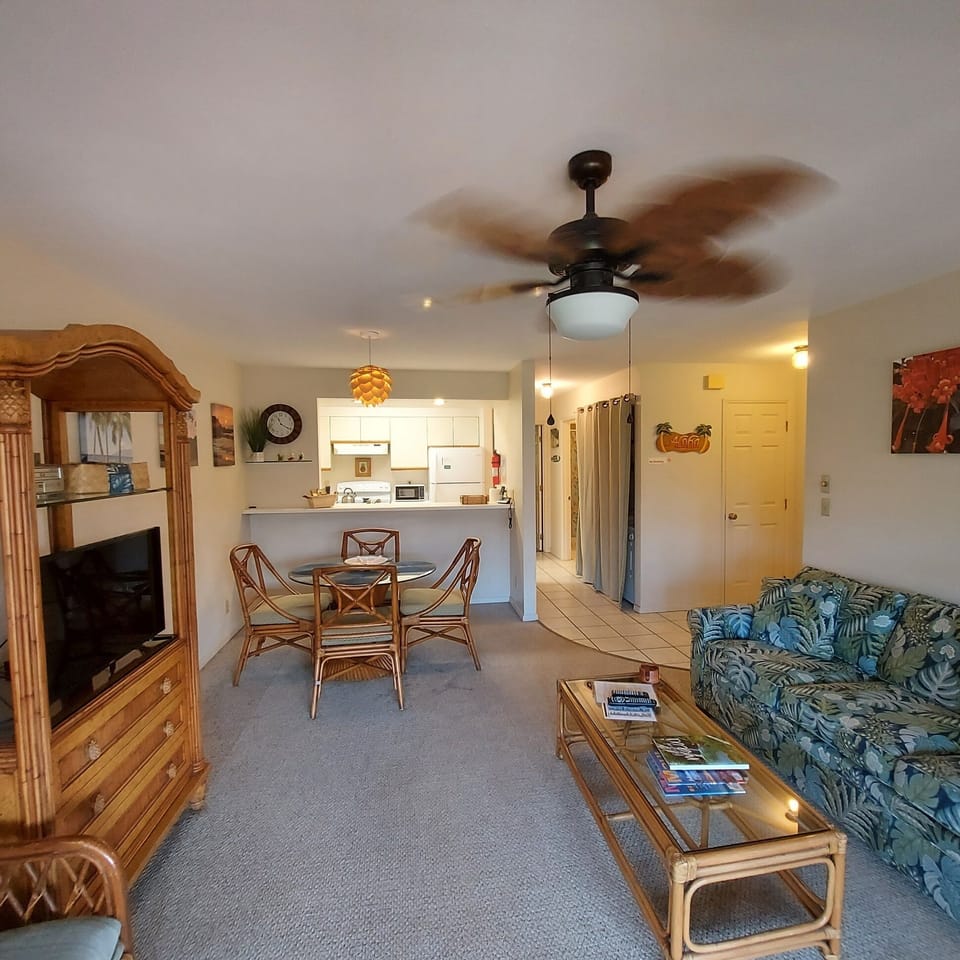 Living area, dining room, kitchen and hall to the bath and bedroom