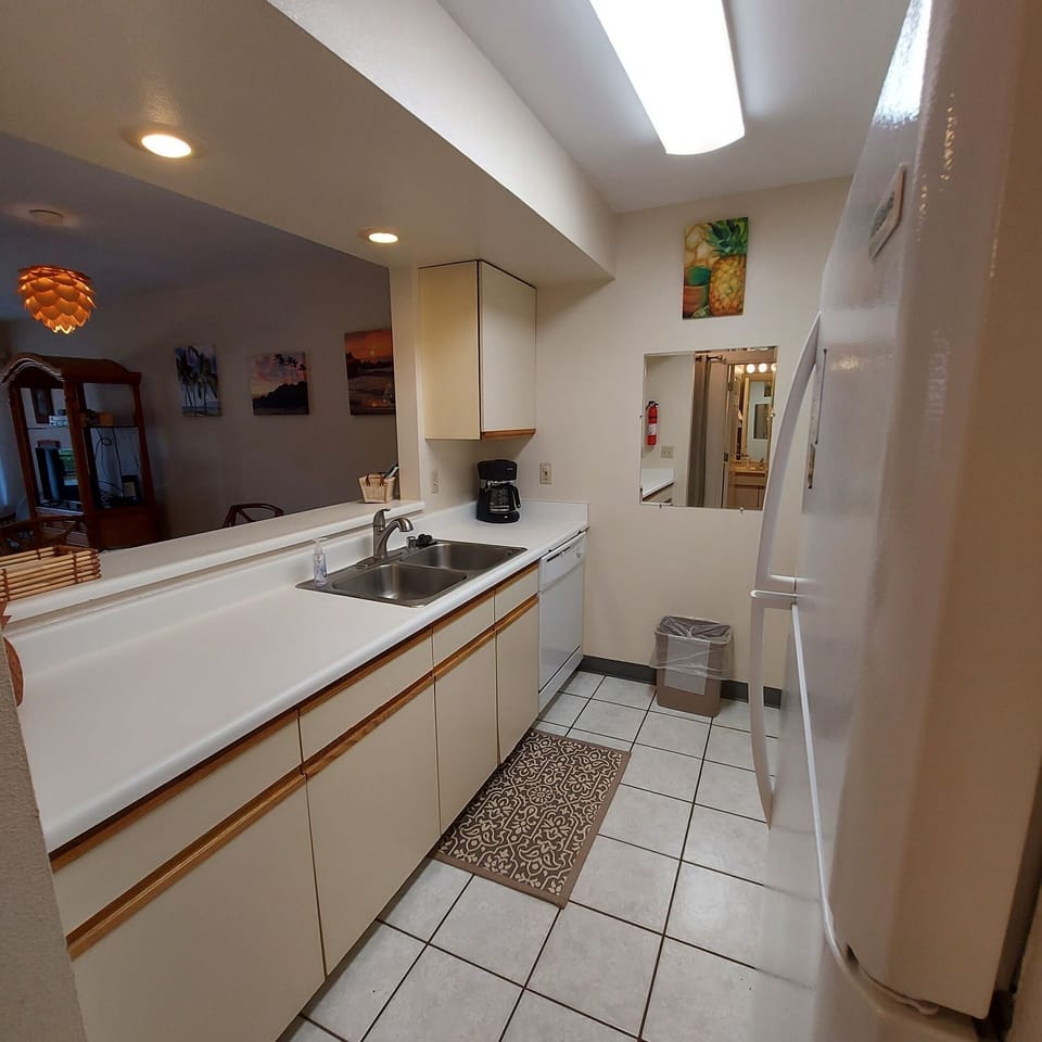 Kitchen with everything your chef would need