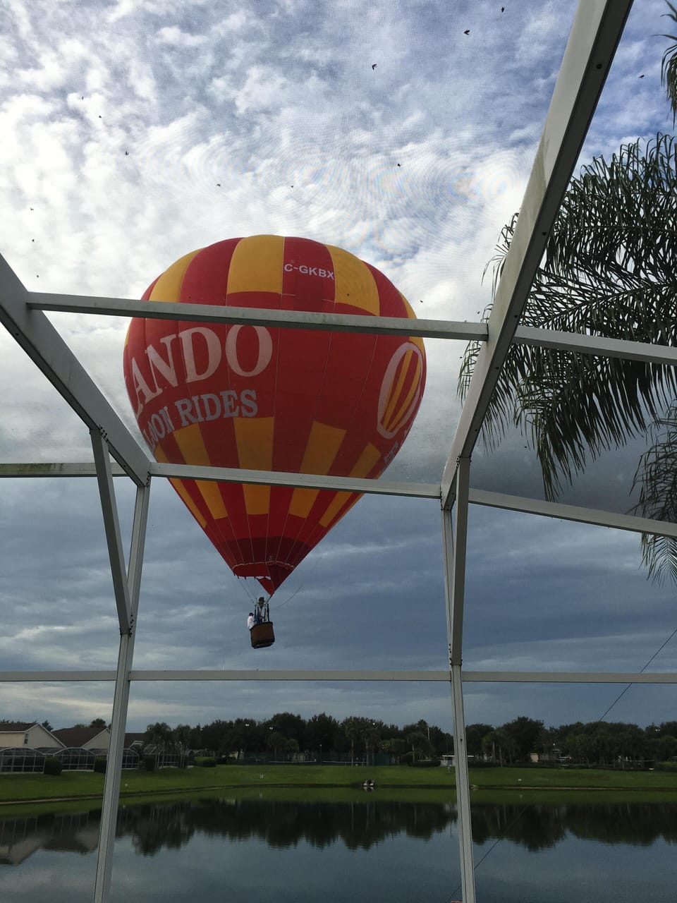 Balloon rides anyone?