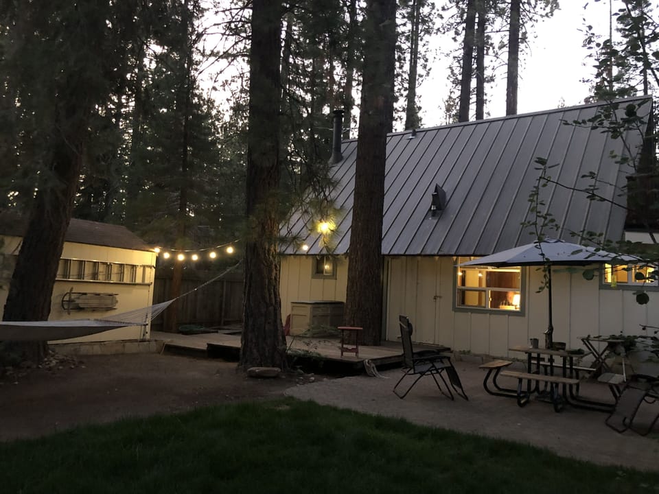 Serene setting in woods