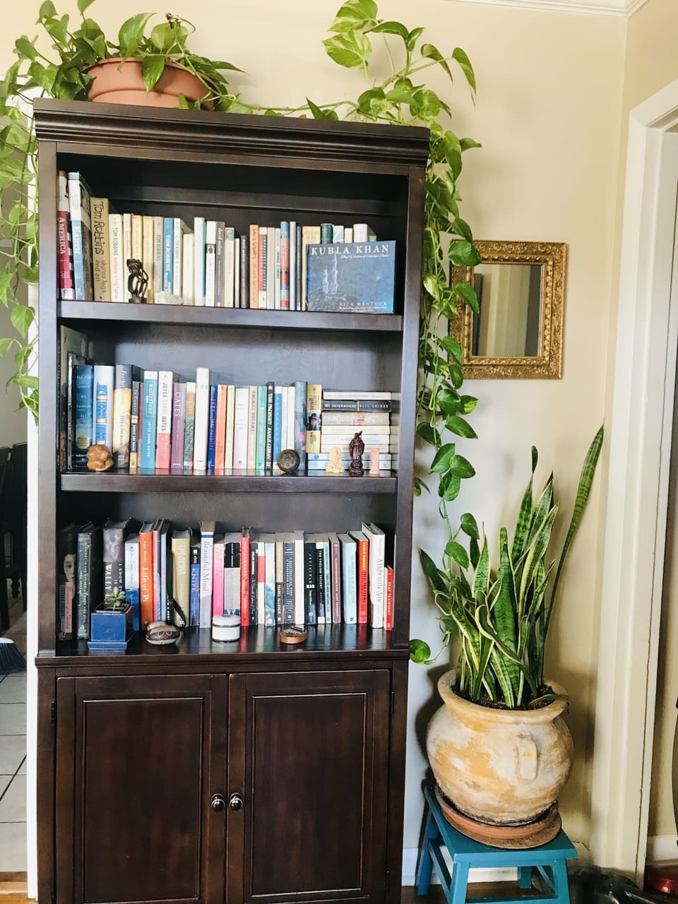 Peruse our books!