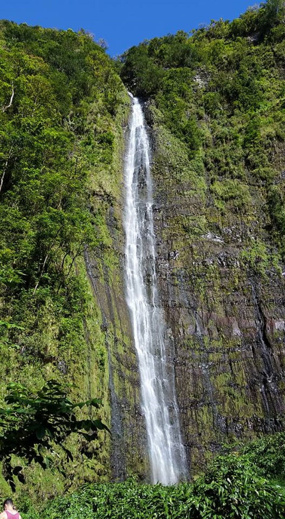 The largest of the awesome waterfalls you will see in  Hana