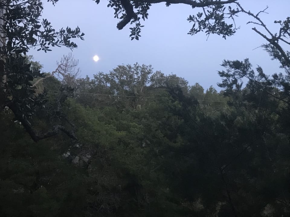 Full moon on the marsh.