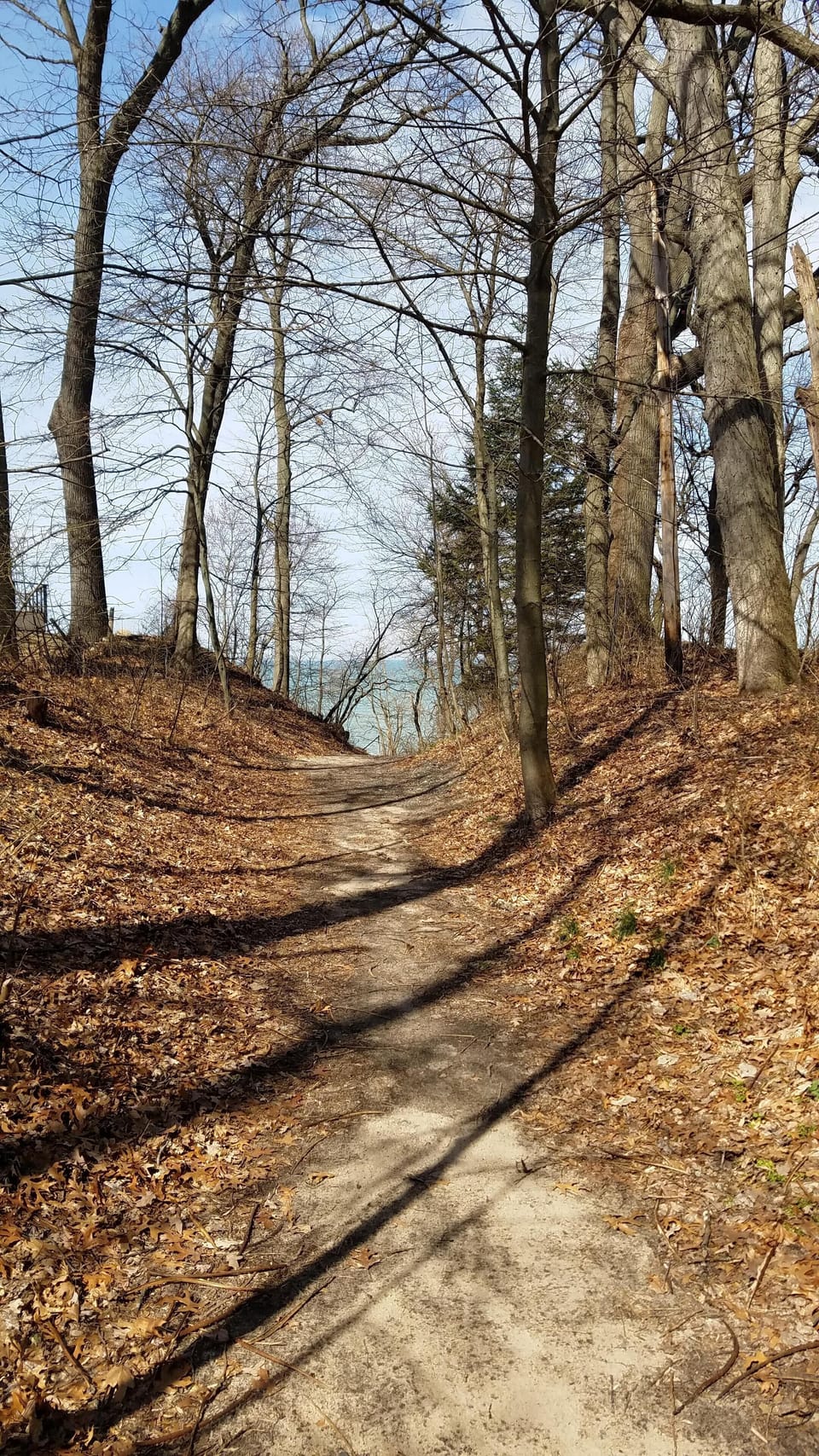 Walkway to top of the stairs down to beach in Winter!
