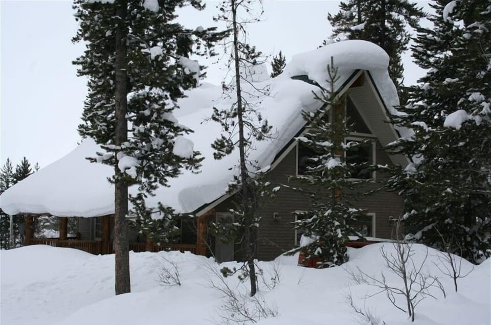 January 2009       Island Park, Idaho