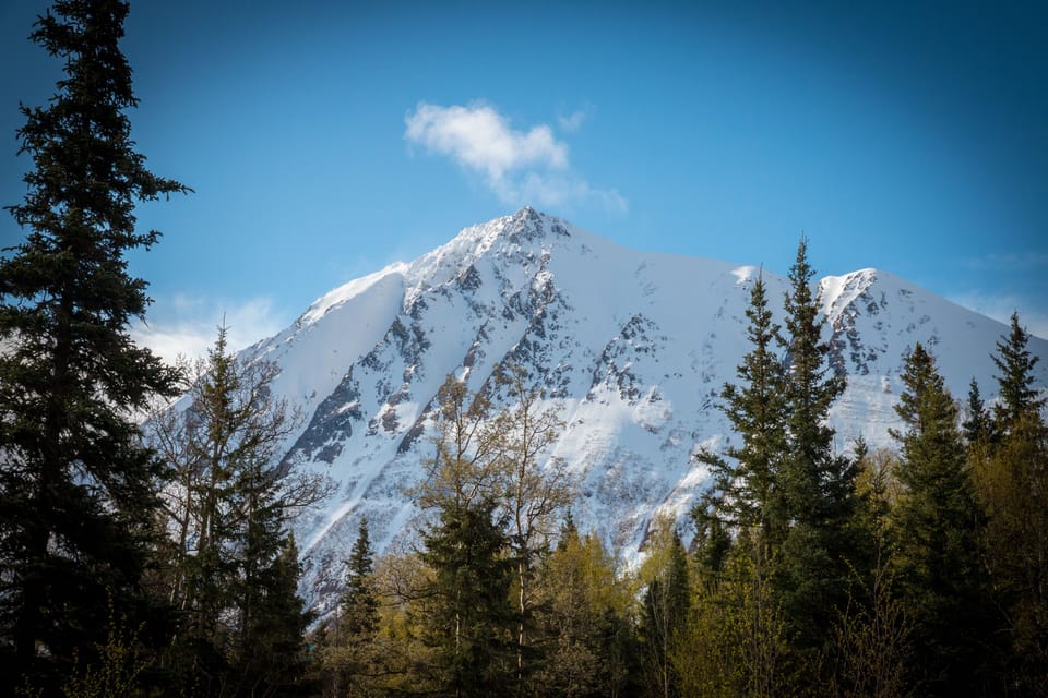 The view from the deck.