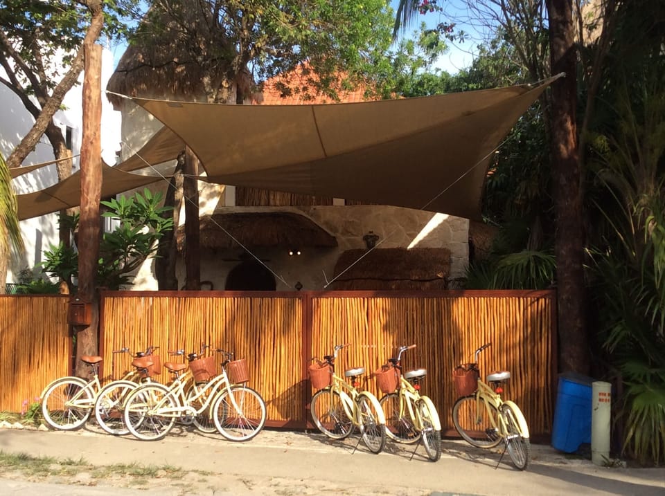 Free household bikes...explore town, beaches and shopping.