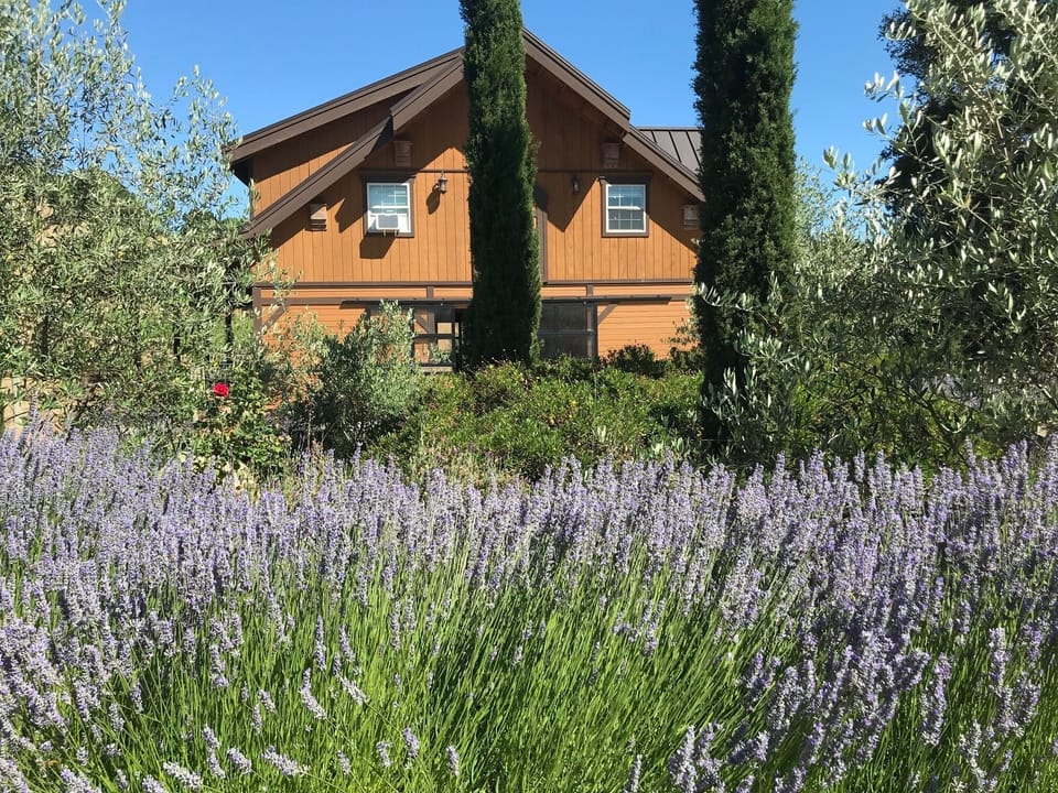 Summer full bloom