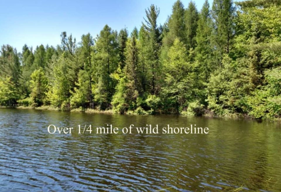 2200 Feet of Lake Frontage