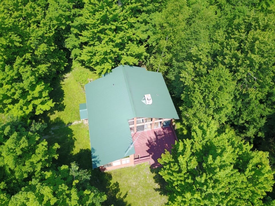 Top View